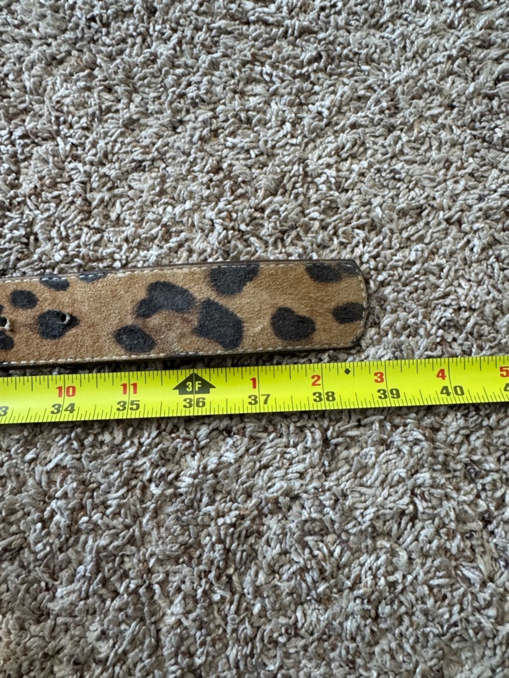 Leatherock Leopard Print Belt with Floral Gem Buckle - Picture 8 of 8